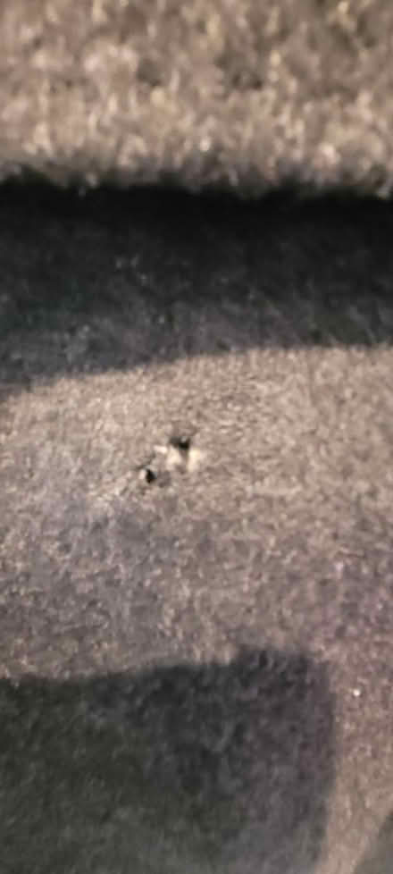 Photo of free Mens wool/cashmere coat (Horsforth LS18) #3