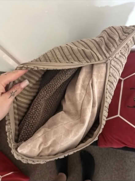 Photo of free Sofa cushions (Bechstein meadow BA14) #3