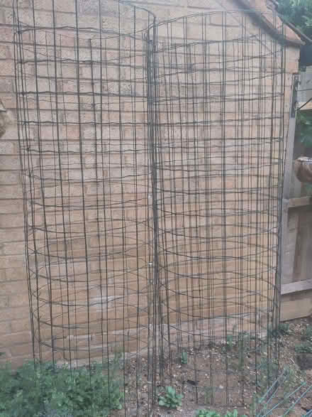 Photo of free Plant support (Lings) #1