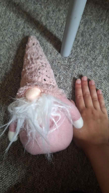 Photo of free Pink gnome (BS3) #2