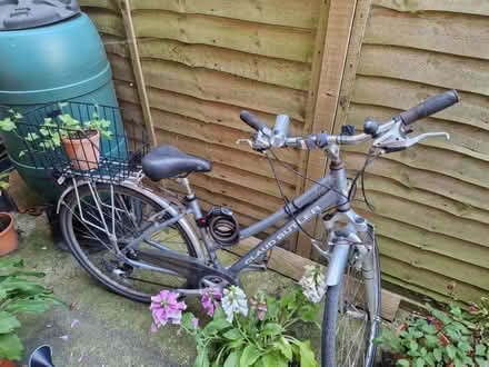 Photo of free Claud butler women's bike (Bn44 3td) #1
