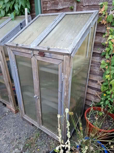 Photo of free Mini Greenhouse (Woking GU22 9) #2