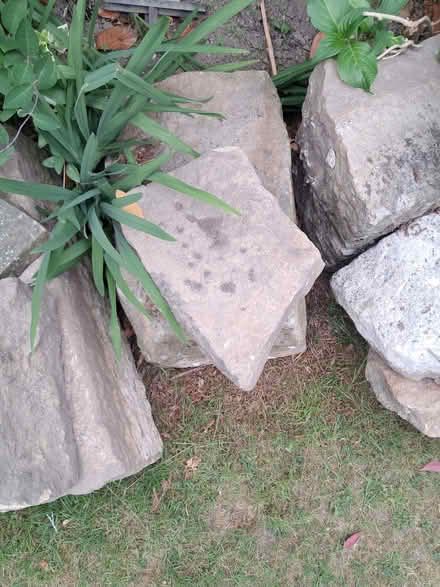 Photo of free Rocks (Greenhill S8) #3