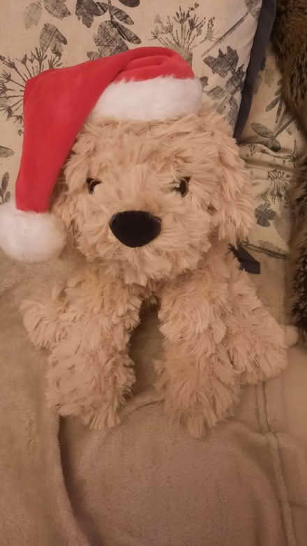 Photo of free Soft toy (Rose Hill OX4) #1