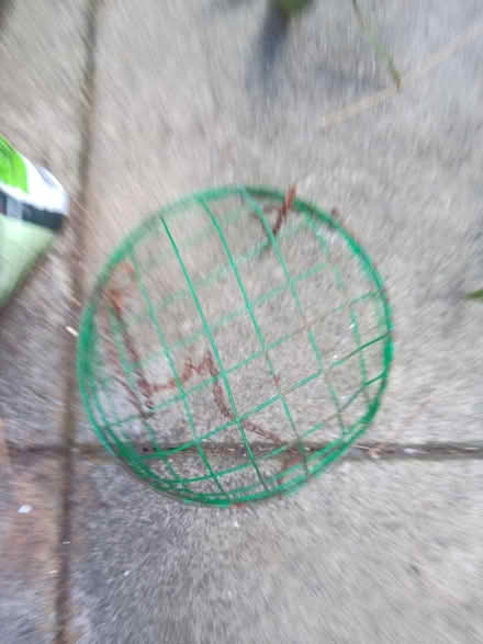 Photo of free Pots/hanging basket (Soho WC2H) #2