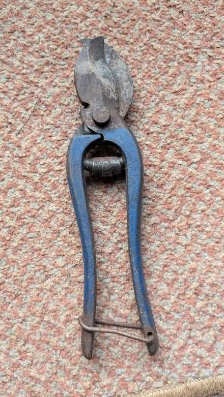 Photo of free Secateurs (Caldy Valley CH3) #1