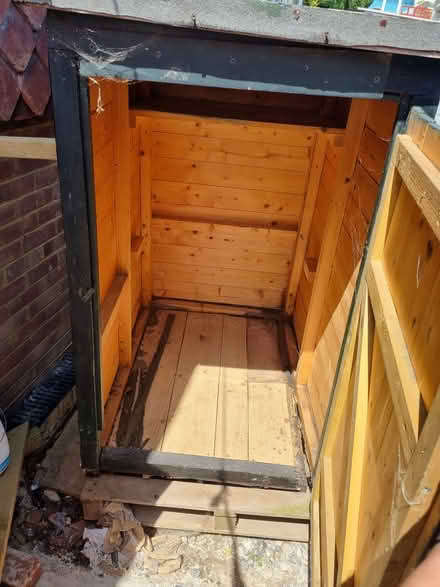 Photo of free Little green shed (Westdene, Brighton BN1) #2