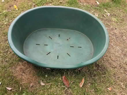 Photo of free Large dog bed (Chapmanslade BA13) #2