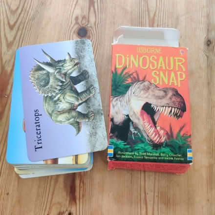 Photo of free 52 Dinosaur Snap Cards (Knighton LE2) #1