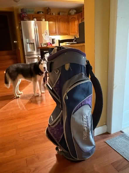 Photo of free Golf Bag - cart/carry (Mt. Tabor) #1
