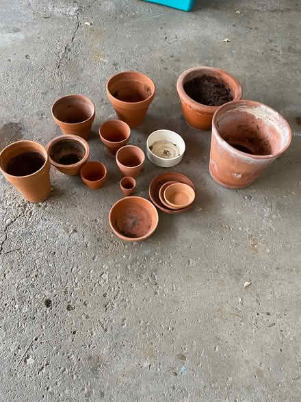 Photo of free Terracotta planters (East Cambridge) #1