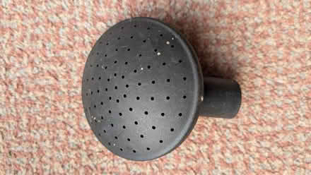 Photo of free Watering can rose (Caldy Valley CH3) #1