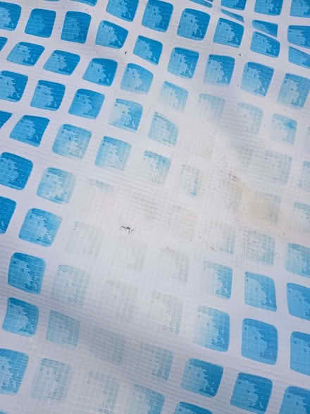 Photo of free Pool (Boreham BA12) #4