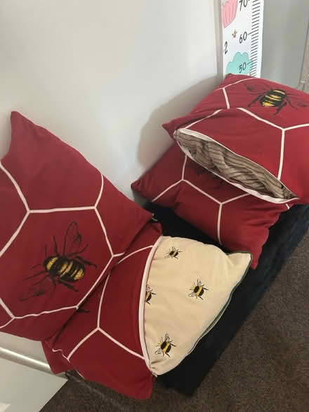 Photo of free Sofa cushions (Bechstein meadow BA14) #1