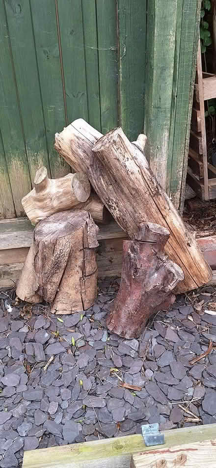 Photo of free 4 large logs (Florence Park OX4) #1