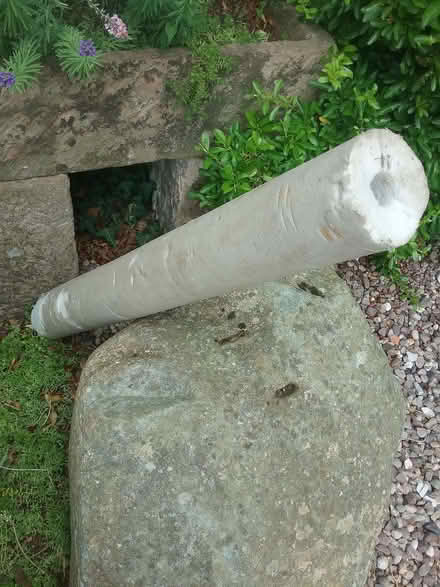 Photo of free Length of pipe insulation (Wrenbury CW5) #1