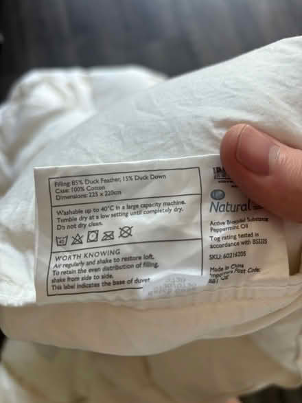 Photo of free KING duck feather & down quilt (New Cross SE14) #3
