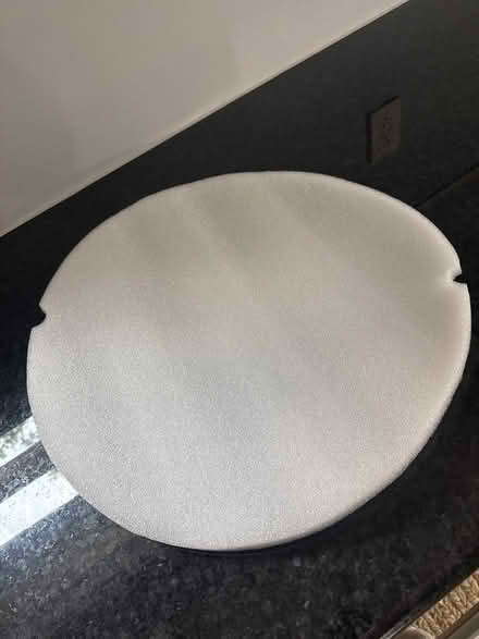 Photo of free Styrofoam circle (Chevy Chase, DC) #1