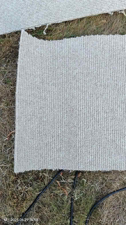 Photo of free Carpet offcuts x3 (Tilehurst, Reading RG31) #1