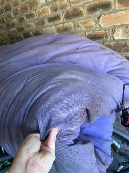 Photo of free Futon mattress (Slateford EH14) #1