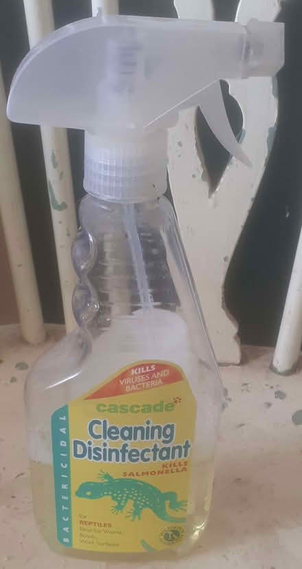 Photo of free Specialist pet (gecko) disinfectant (Fiveways BN1) #1