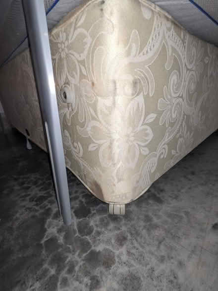 Photo of free Double Bed with Well Sleep Mattress (Battlefield Enterprise Park SY1) #2