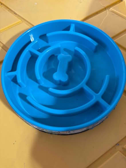 Photo of free Slow feed dog bowl (NE Renton) #1