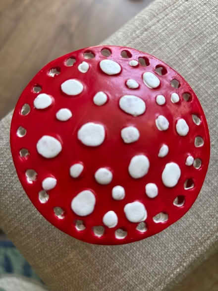 Photo of free Mushroom earring holder (Limehouse E1) #2