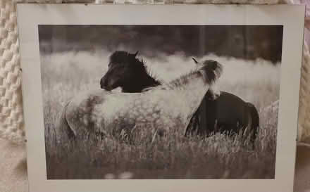 Photo of free IKEA print (Teddington TW11 0BX) #1