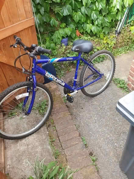 Photo of free mountain bike (Broadstairs CT10) #1