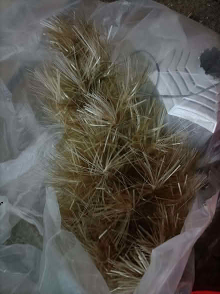 Photo of free Fibre optic Christmas tree (Lychpit RG24) #1