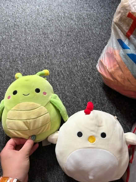 Photo of free Squishmallows (S3 7LG) #1