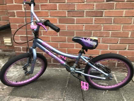 Photo of free Bike 3-8 year old (stranmillis btg 5gw) #1