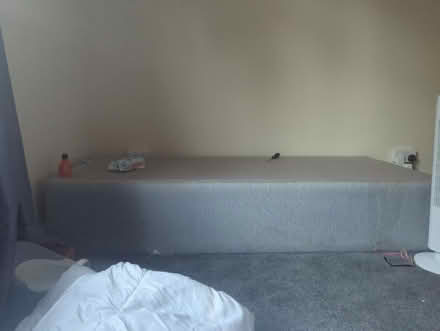 Photo of free Single divan (TW11) #1