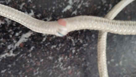 Photo of free Philips non-steam iron (Claverton) #2