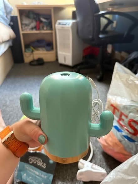 Photo of free Cactus diffuser (Shalesmoor S3) #1