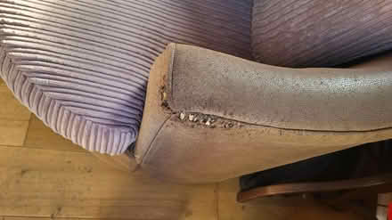 Photo of free 360 Brown Swivel circular armchair (Chingford E4) #4