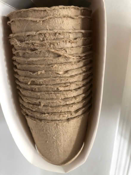Photo of free Paper pots (Cavendish DE23) #2