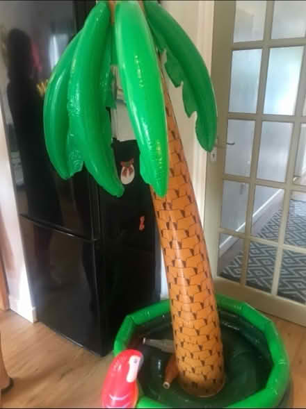 Photo of free party decoration (killiney) #1