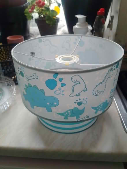 Photo of free Dinosaur light shade (Yorkshire) #1
