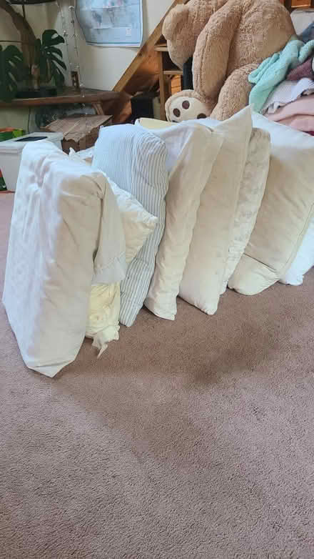 Photo of free Pillows (Ulster County) #1