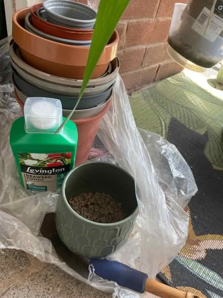 Photo of free Gardening stuff (Chilwell NG9) #1