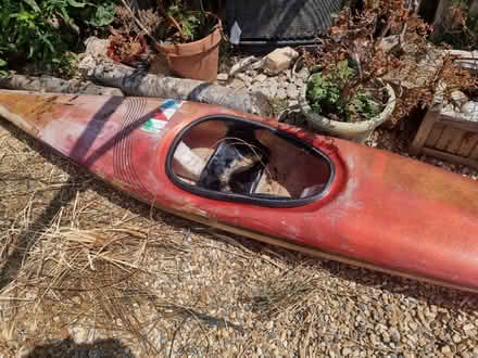 Photo of free Canoe (Morden SM4) #1