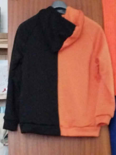 Photo of free Halloween hoodie (Whitehall) #2