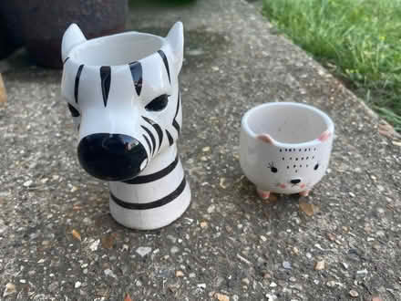 Photo of free Small plant pots (SG19) #1