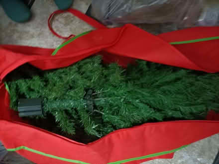 Photo of free Christmas tree (Lychpit RG24) #1