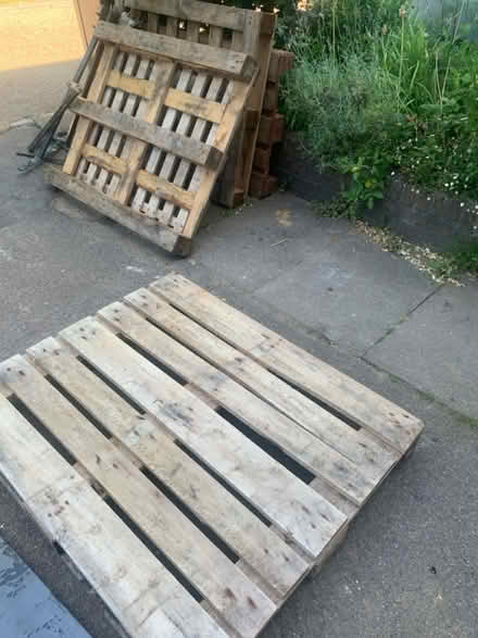 Photo of free Wooden pallets (Forest hill, SE23) #1