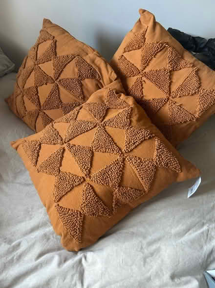 Photo of free Cushions (Cold Harbour OX1) #1