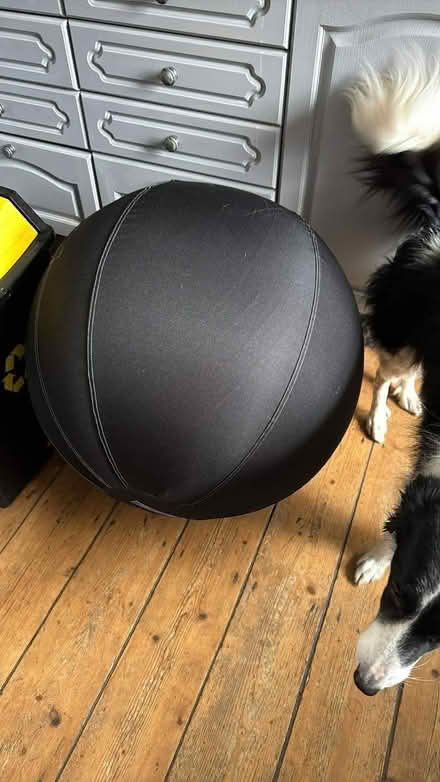 Photo of free Dog herding ball (St Agnes, TR5) #1