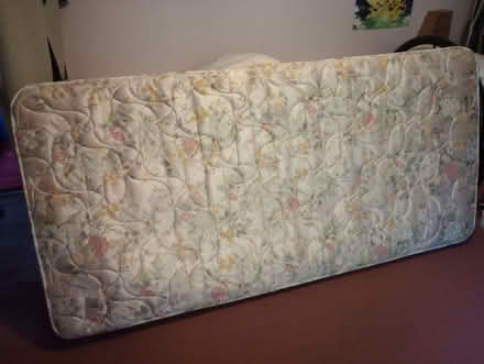 Photo of free 3 foot single sprung mattress (Penzance TR18) #1
